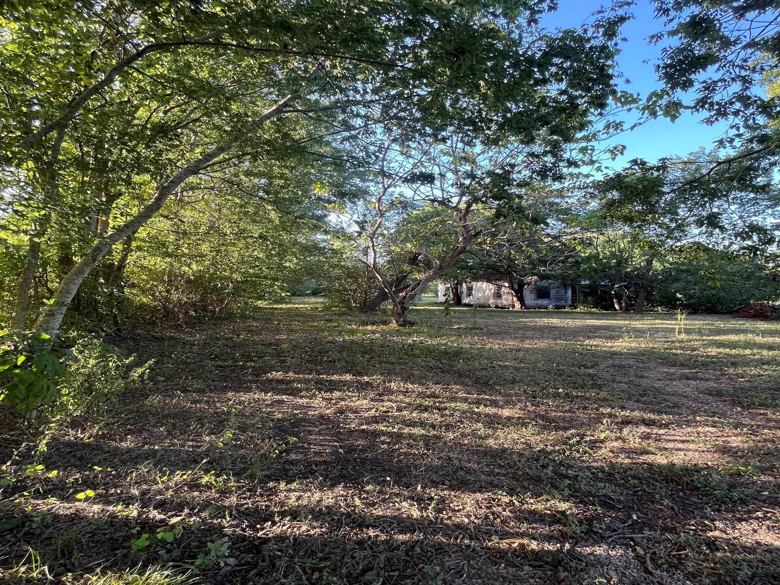 Property Photo: 13259 Fm 1371 TX 77426