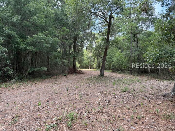 Property Photo:  1751 Seaside Road  SC 29920 