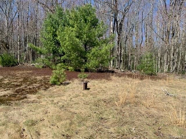 Property Photo: 255 Wild Turnpike NY 12775