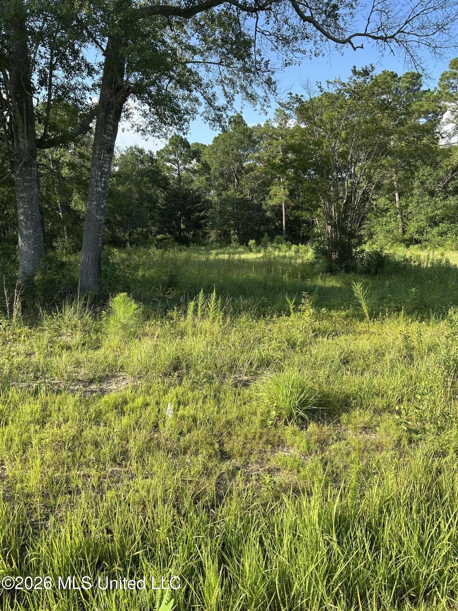 Property Photo: Woolmarket Road MS 39532