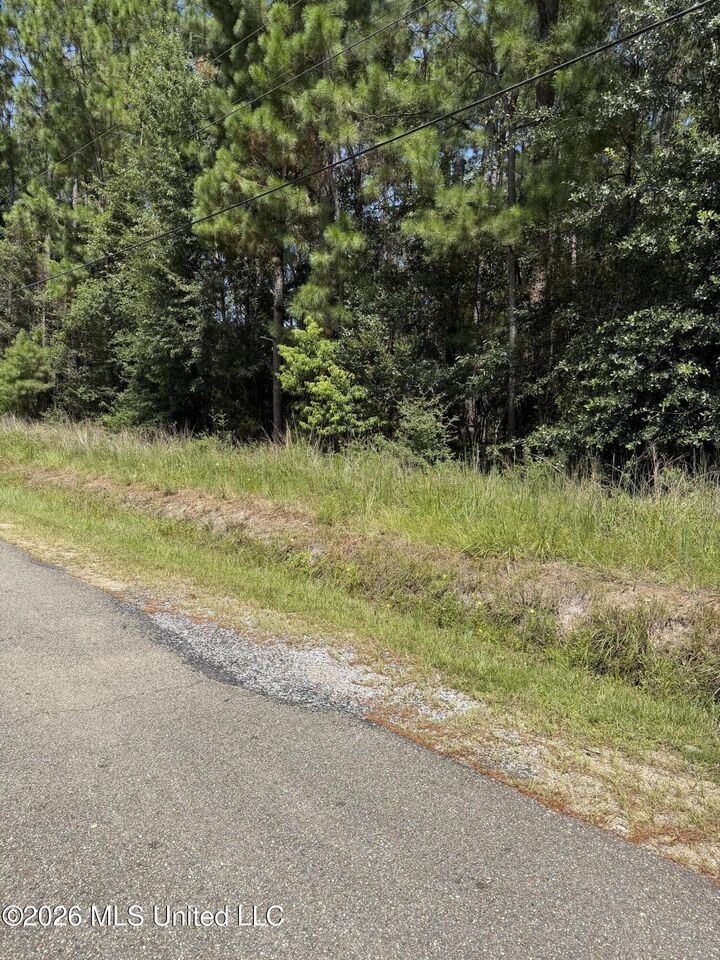 Property Photo: 0 W Ridley Street MS 39520