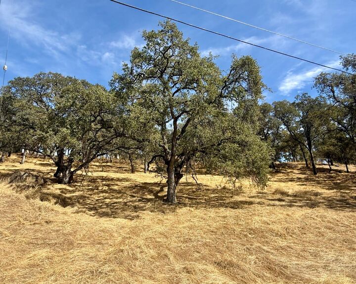 Property Photo: 3580 Dunn Road CA 95252