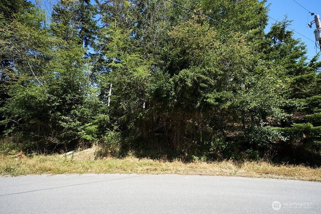Property Photo: 2 & 3 Lot Sycamore Road WA 98239