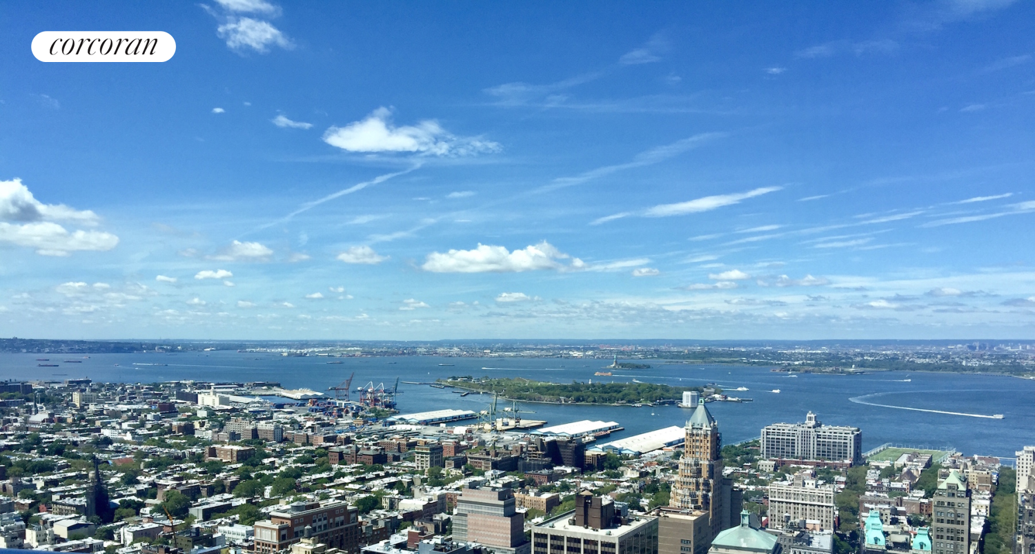 Property Photo:  388 Bridge Street 43H  NY 11201 