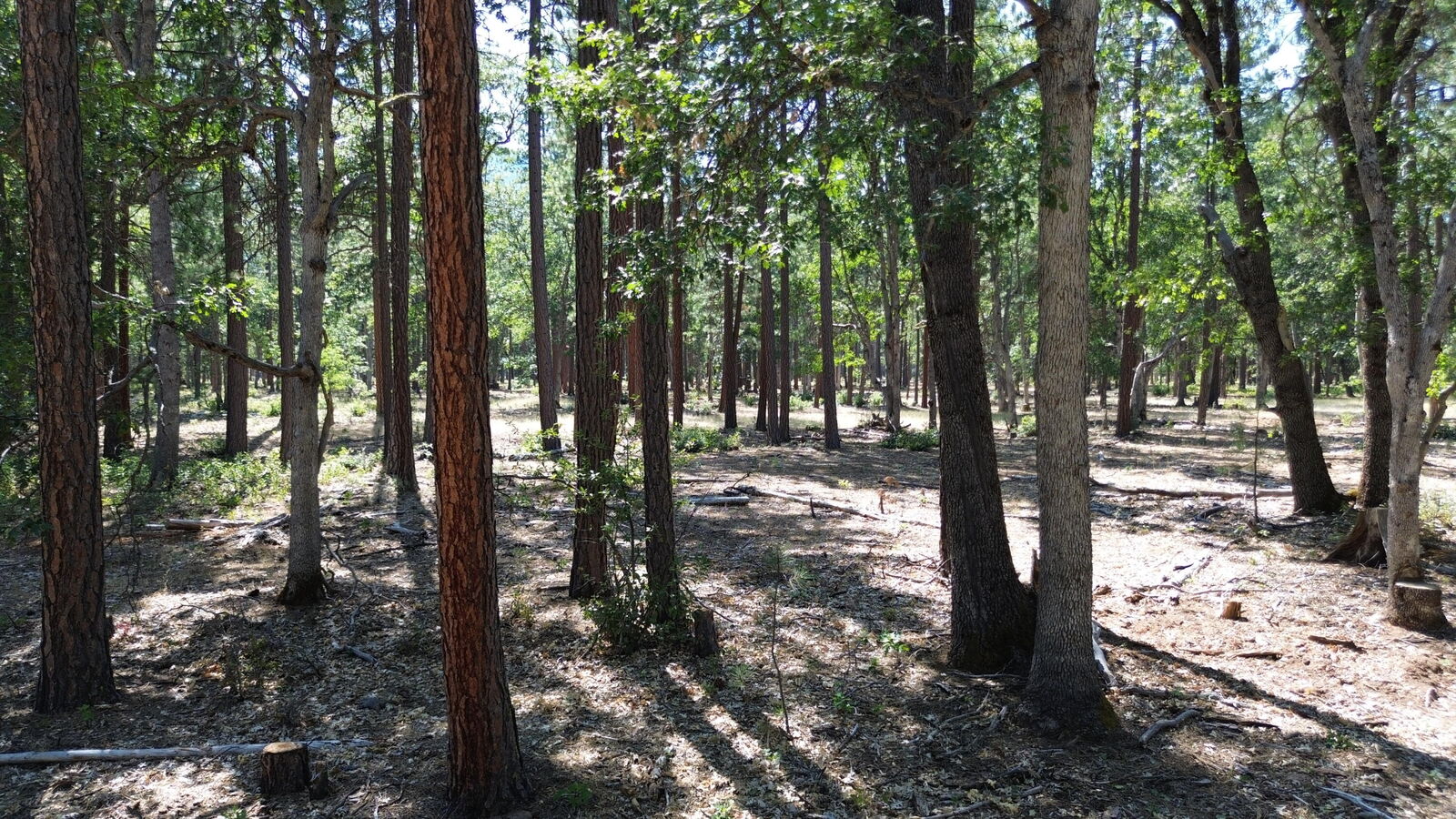 Property Photo:  0000 Old School Road  CA 96028 