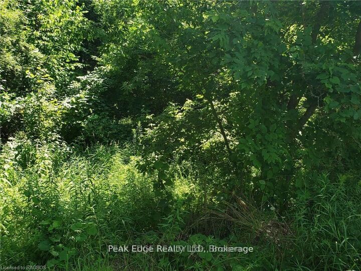 Property Photo:  Part Lot 28 12 Concession S  ON N0H 1L0 