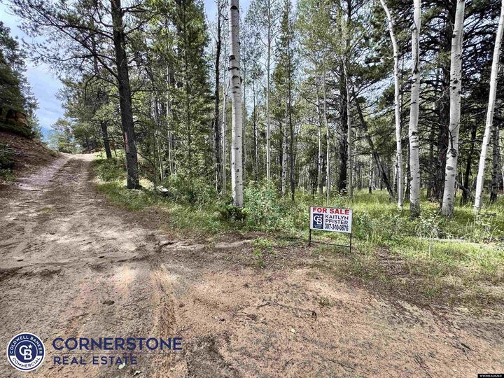 Property Photo: Lot 620 Starwallow #6 Road WY 82601