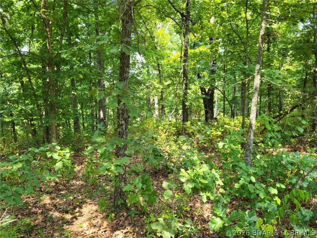 Property Photo:  Lee Drive 2020  MO 65326 