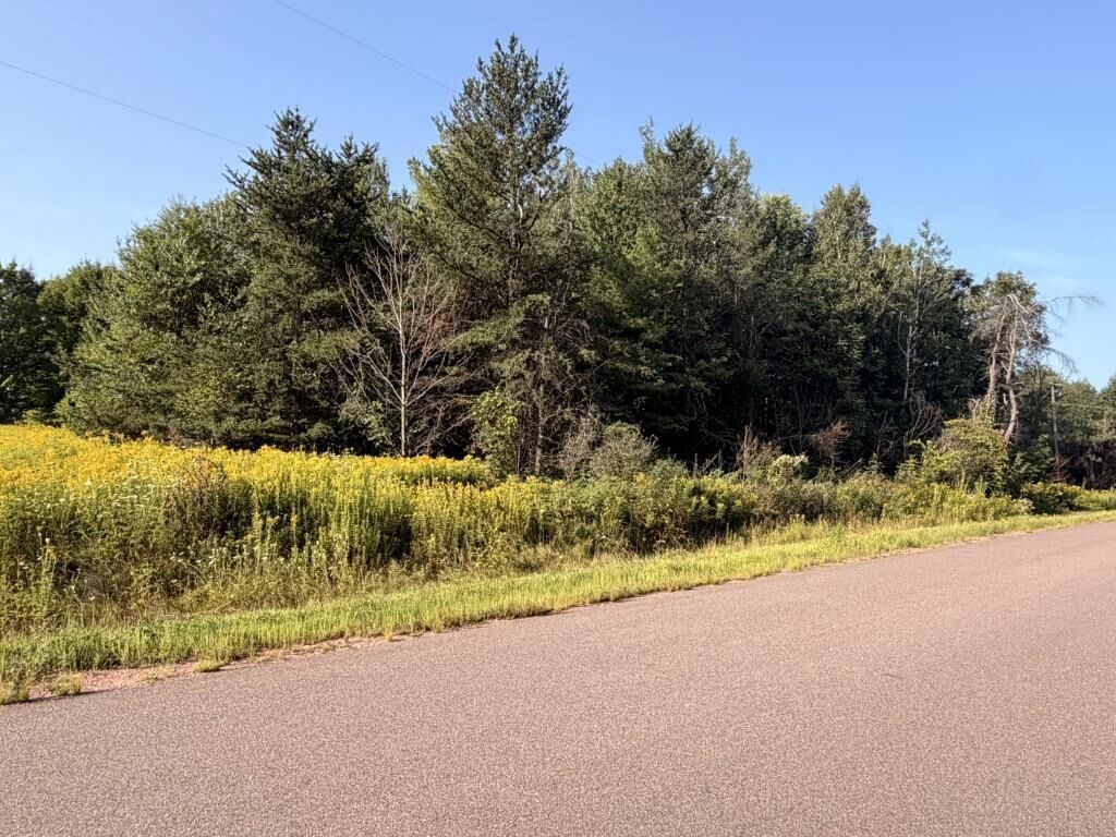 Property Photo: 1 Acre Texas Road WI 54403