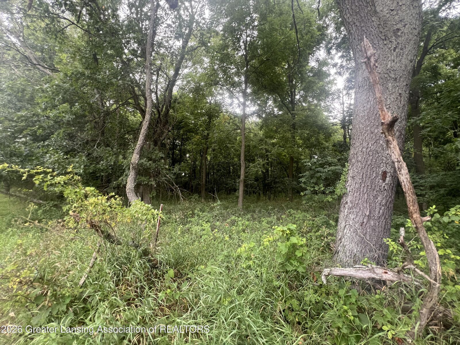 Property Photo:  0 M-50  MI 48827 