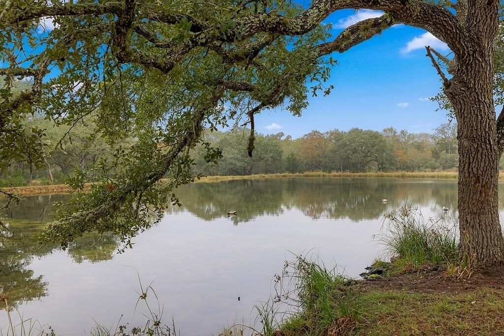 Property Photo:  1131 Greak Road  TX 77475 
