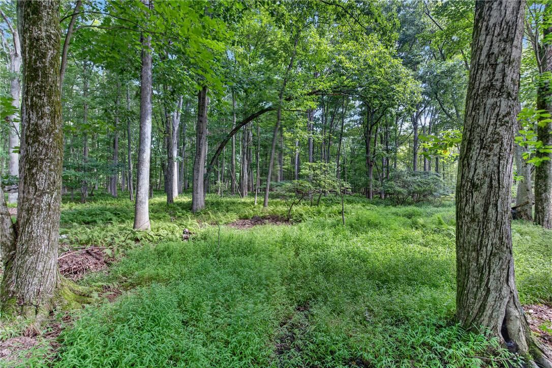 Property Photo:  Maple Street  PA 18252 