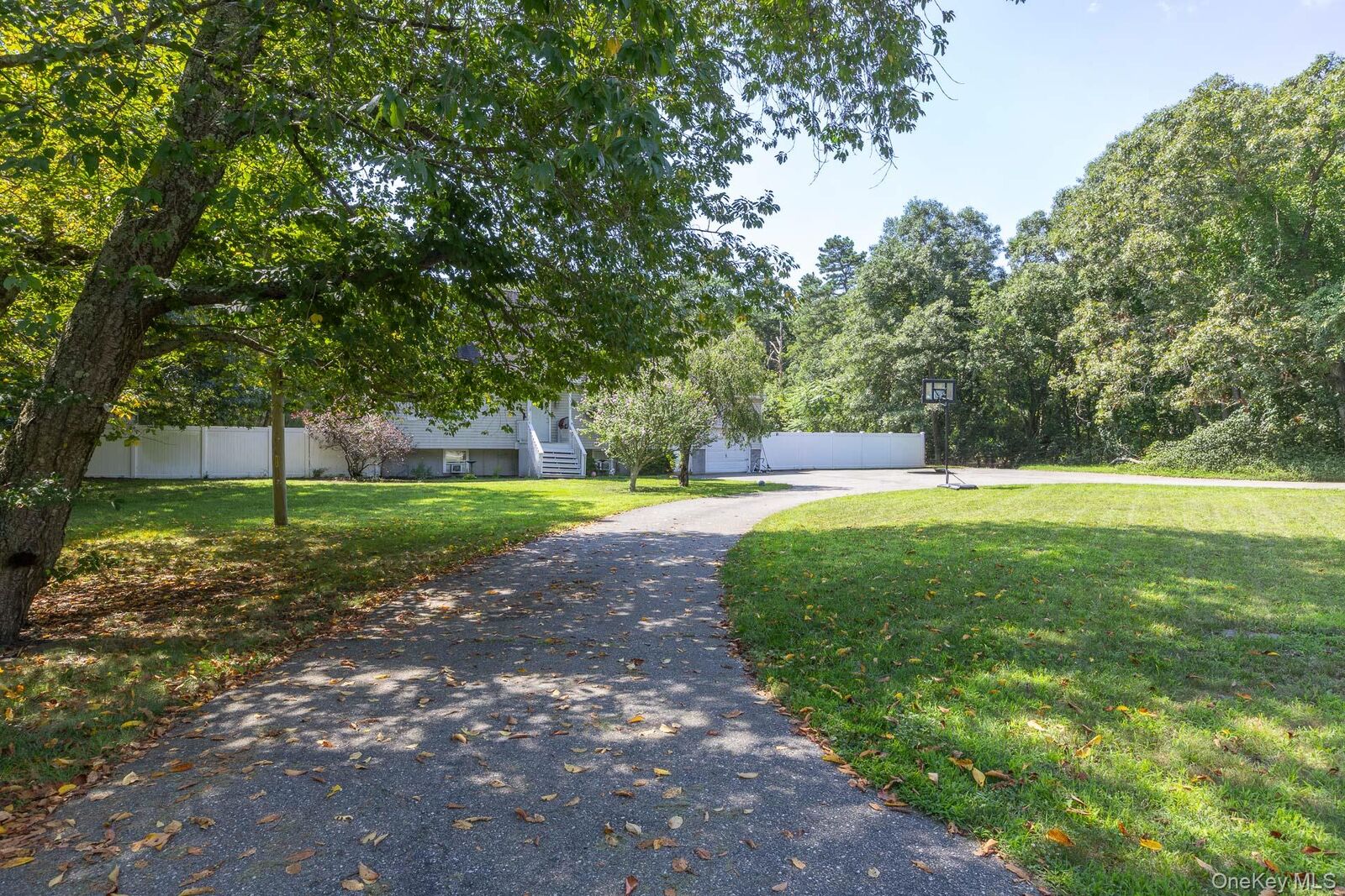 Property Photo:  312 Peconic Avenue  NY 11763 