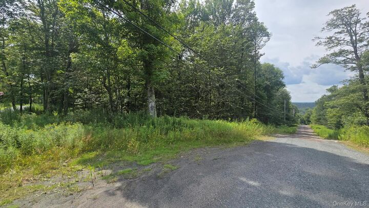 Property Photo:  Knickerbocker Road  NY 12758 