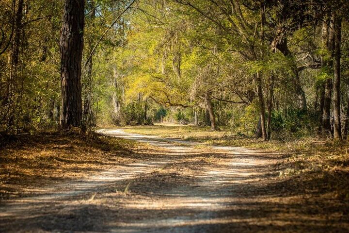 Property Photo:  957 NE 354th Avenue  FL 32680 
