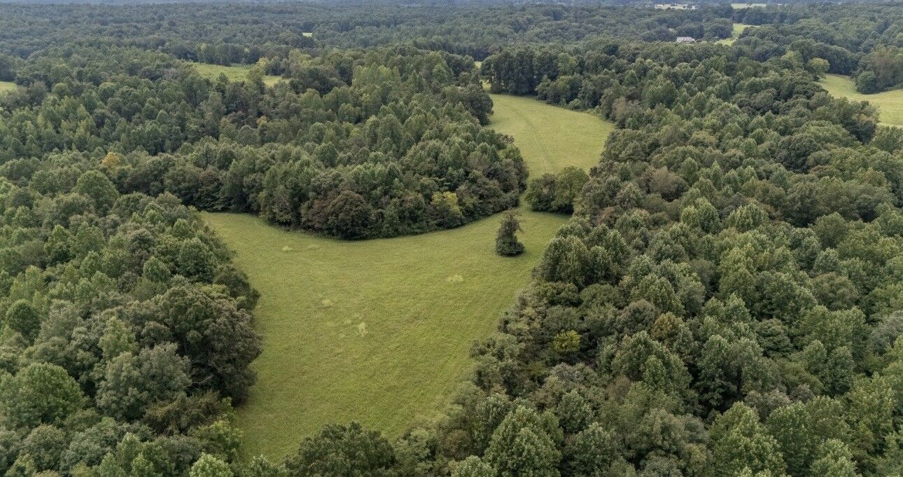 Property Photo:  0 Weakley Creek Road  TN 38464 
