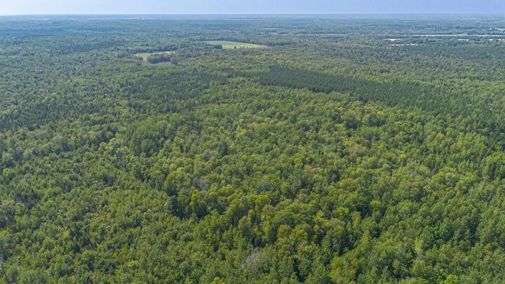 Property Photo:  West Devon Acreage  PE C0B 1H0 
