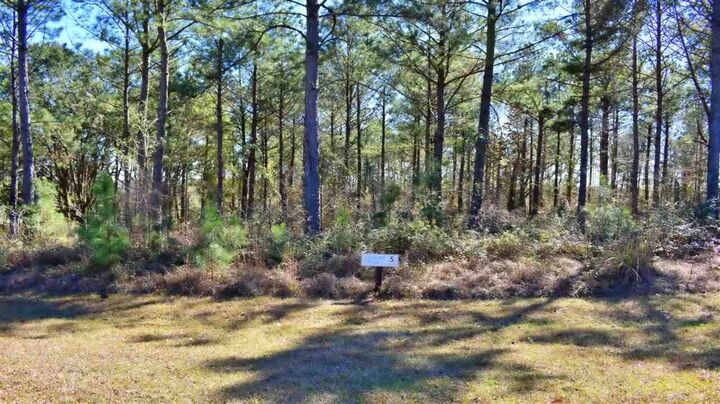Property Photo: Lot 5/6 Block A Mountain View Way GA 39819