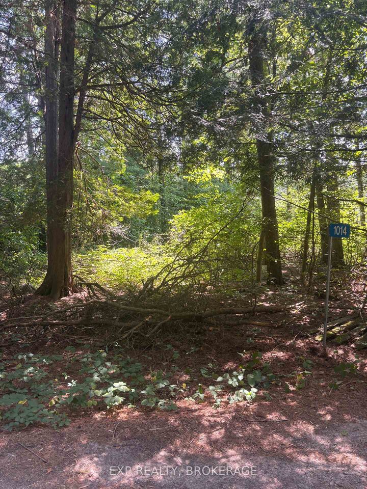 1014 Sumac Trail 23 — photo 1