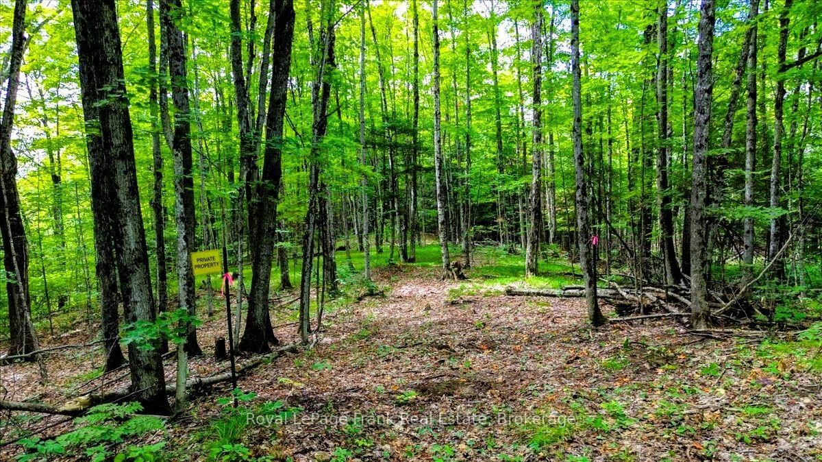 Photo de la propriété:  0 North Rusaw Road  ON K0L 1A0 