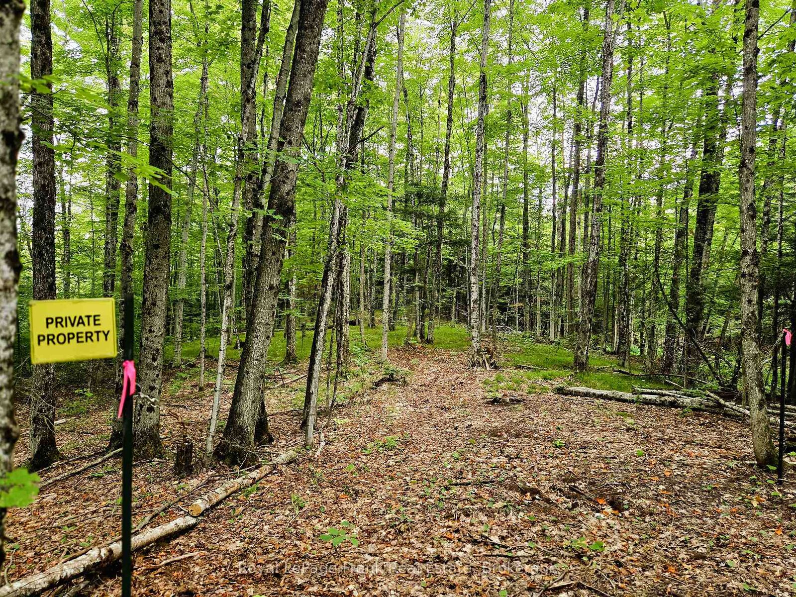 Property Photo:  0 North Rusaw Road  ON K0L 1A0 