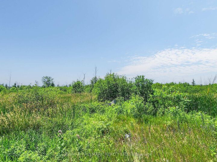 Property Photo:  20200 Highway 48 N/A  ON L0G 1M0 