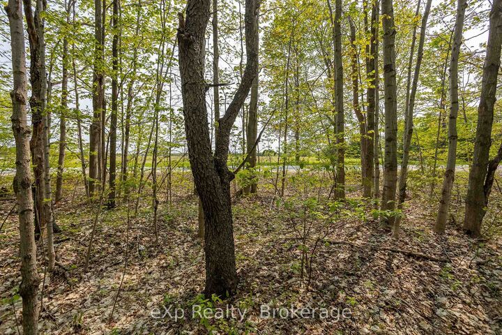 Property Photo:  Pt Lot 20 Con 5 N/A  ON N0H 1G0 