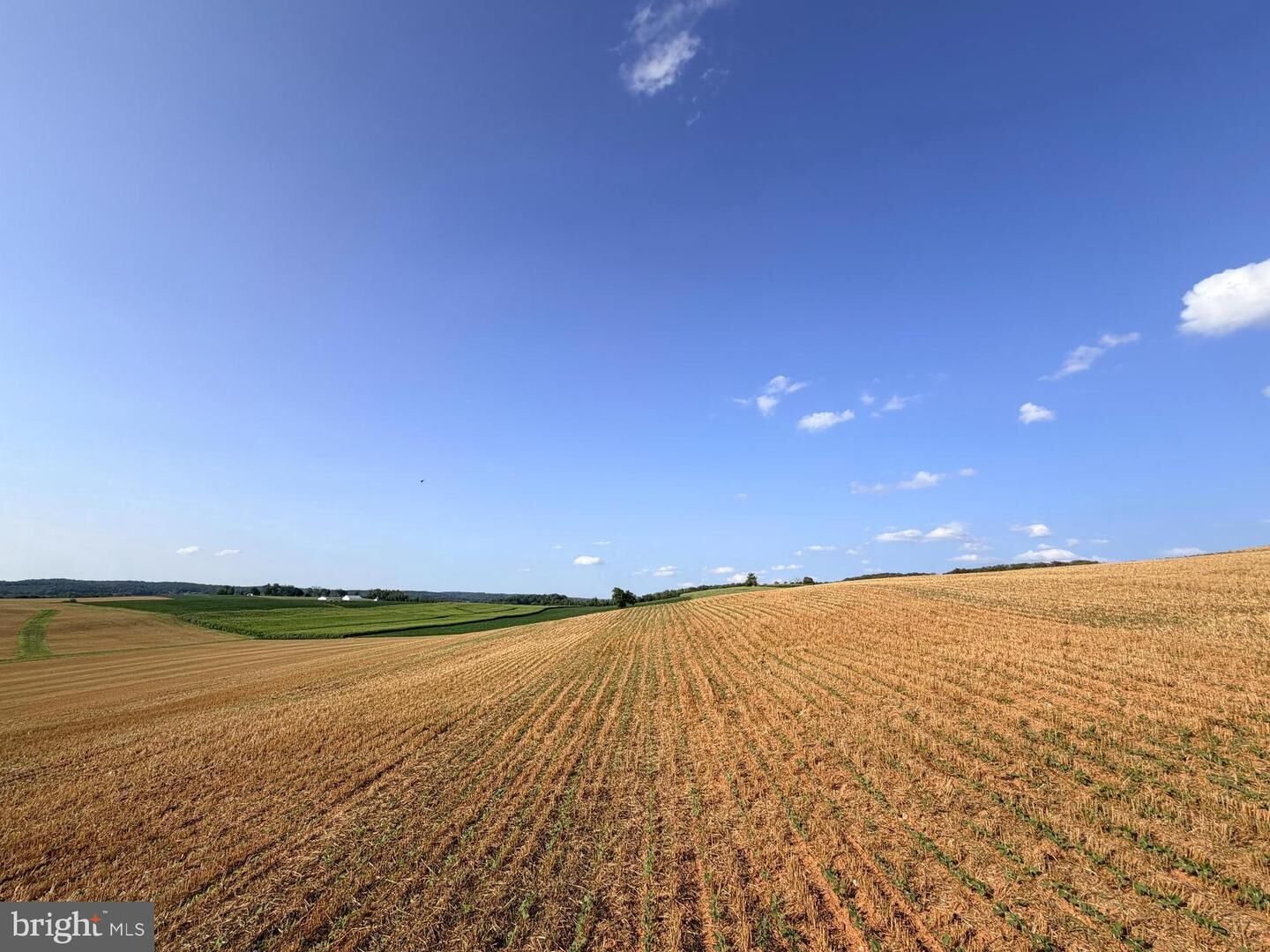 Property Photo:  Bachmans Valley Road  MD 21158 