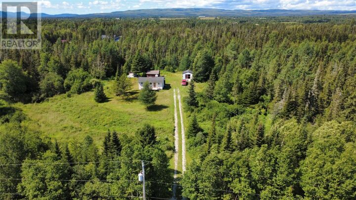 Property Photo:  38-44 Juniper Avenue  NL A8A 2M7 