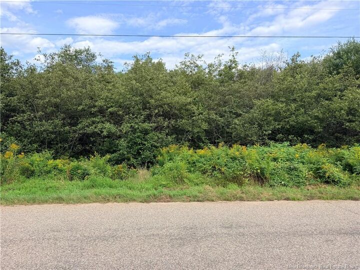 - Plumweseep Road — photo 1