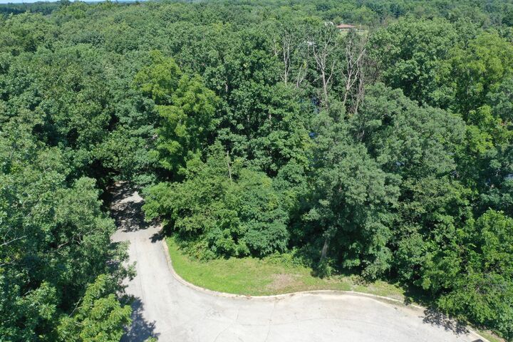 Property Photo:  0 Freedom Lake North Court  IN 46385 