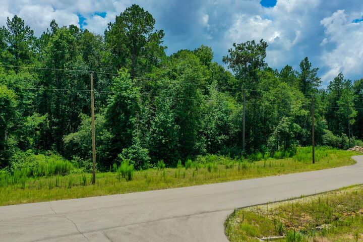 Property Photo: 34-15 Sandstone Lane TX 77340