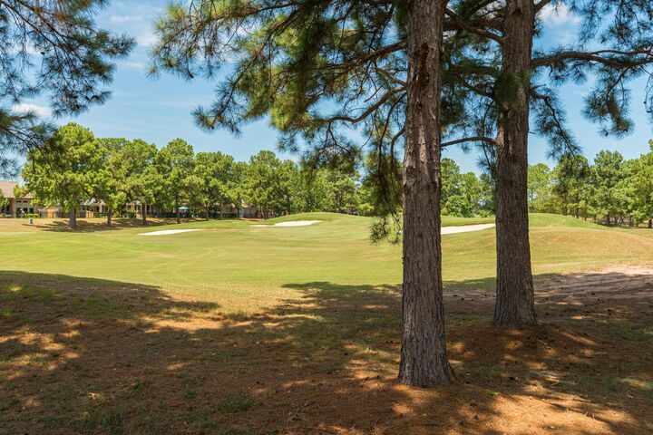 Property Photo:  1323 Arden Forest Drive  TX 77379 