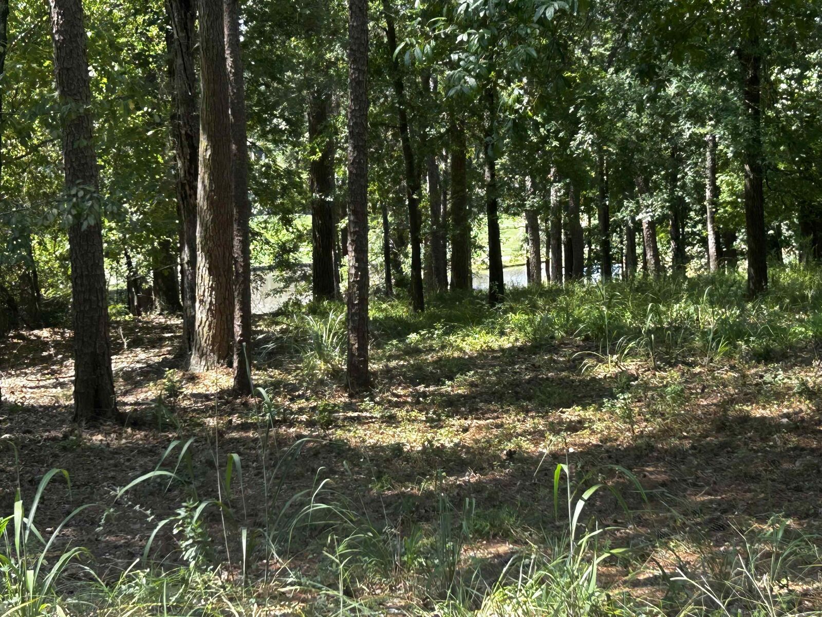 Property Photo:  1191 Lake View Court  GA 30642-0000 