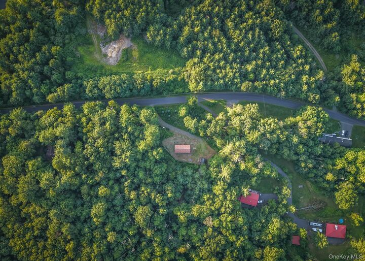Property Photo:  281 Cold Brook Road  NY 12409 