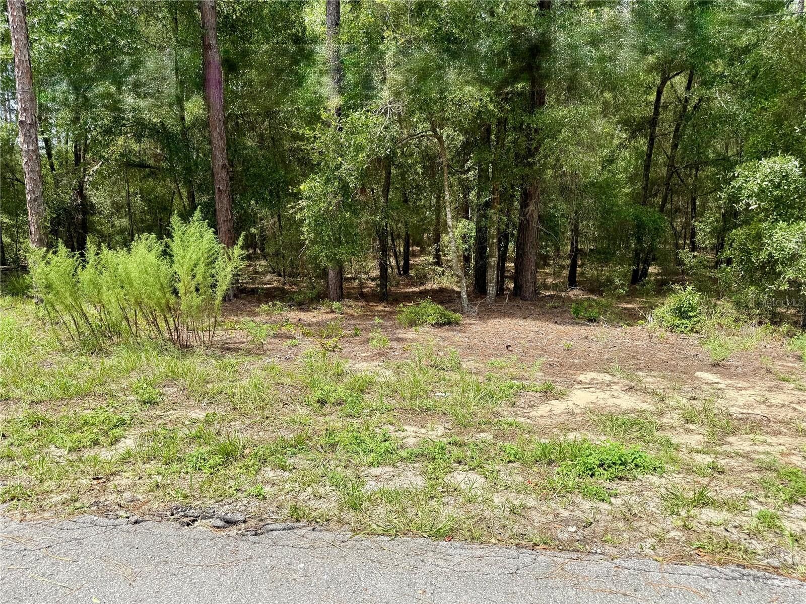 Property Photo:  SW 205th Circle  FL 34431 