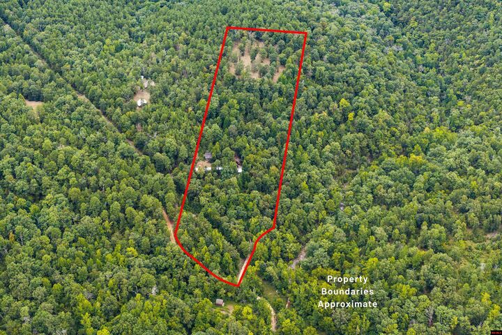 Property Photo:  155 Plumtree Trail  AR 72658 