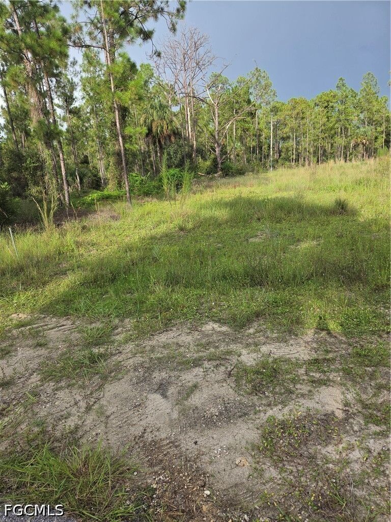 Property Photo:  2310 Truman Avenue  FL 33920 