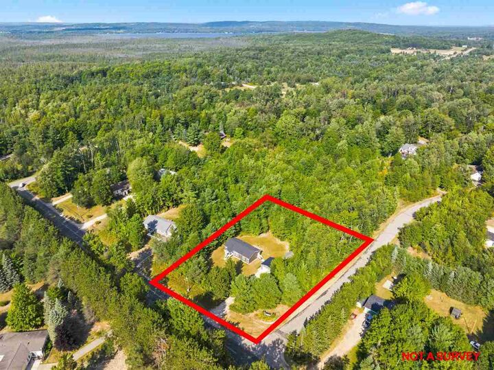 Property Photo: 387 Silver Creek MI 49770