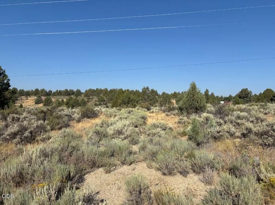 Property Photo: Josephine Lot 38 OR 97639