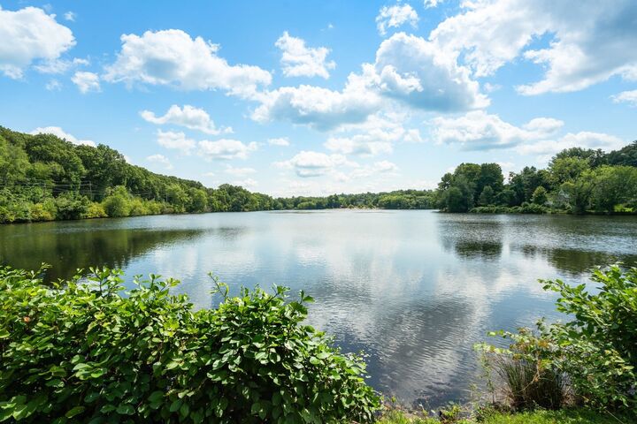 Property Photo: 50 Mill Pond 50 MA 01845