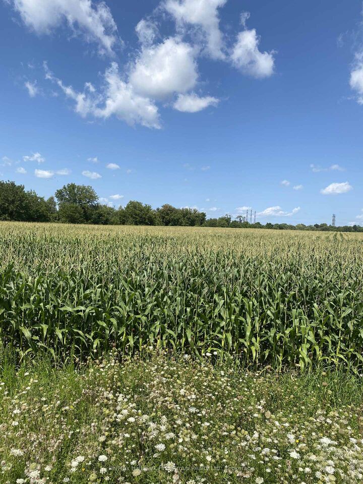 Property Photo:  800 Conlin Road  ON L1R 3K2 