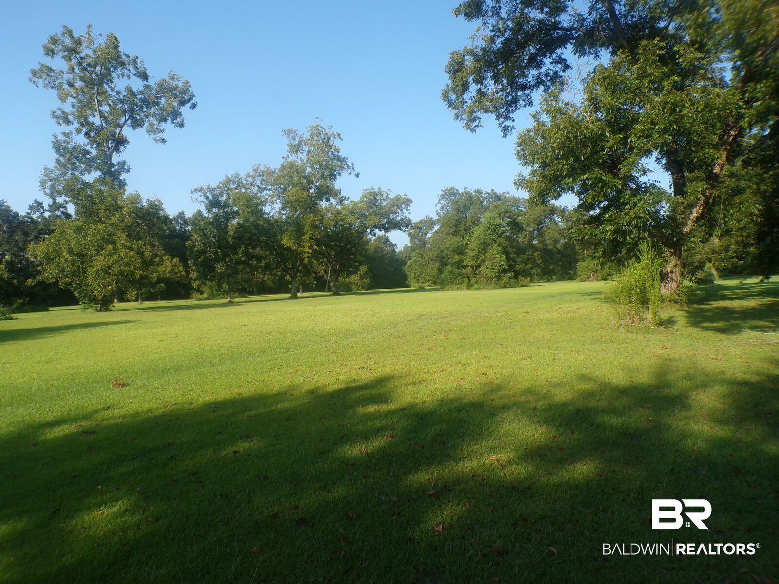 Property Photo:  0 Cater Lee Way  AL  
