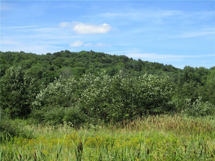 Property Photo:  Lot 1 State Route 80  NY 13464 