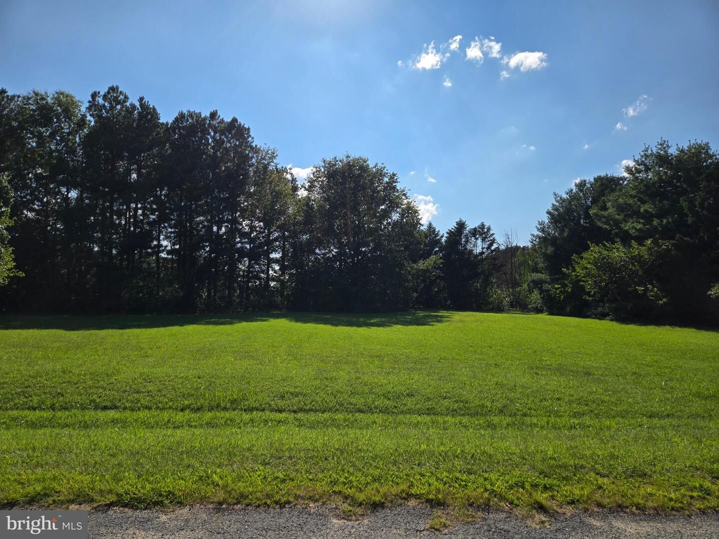 Property Photo:  Arrowhead Drive  MD 21643 