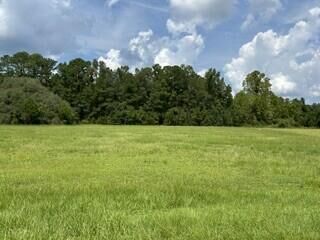 Property Photo: 0 Starline Drive SC 29486