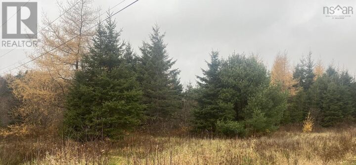 Property Photo:  Lot 10 New Cheverie Road  NS B0N 2A0 
