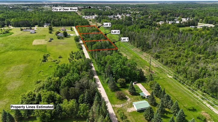 Property Photo: Lot 1 Parameter Road MN 56636