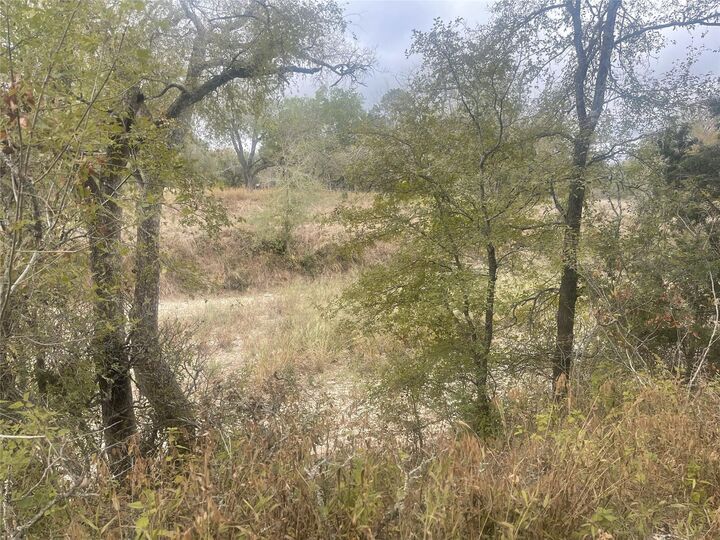 Property Photo: 2171 Onion Creek Bend TX 78619