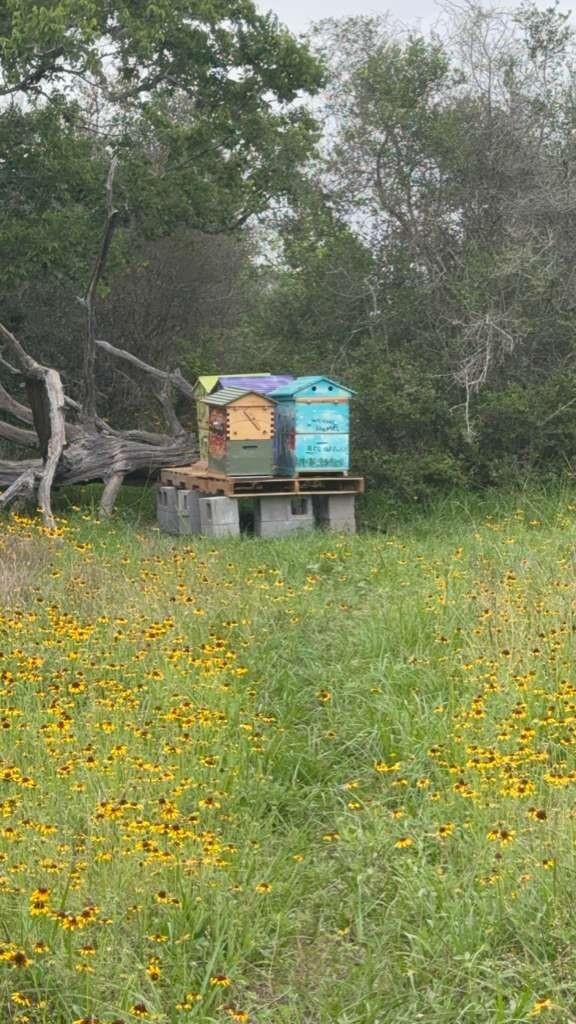 Property Photo: Tbd Tbd TX 78934